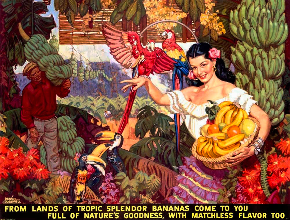 Bananas/From Lands of Tropical Splendor 0000-0973
