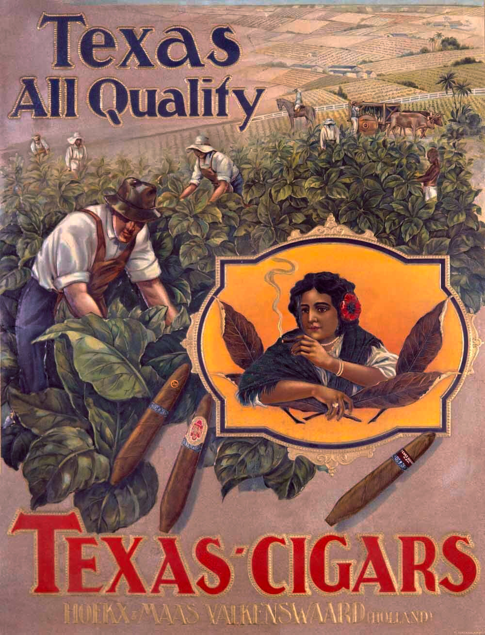 Texas All Quality Cigars Poster 0000-1968