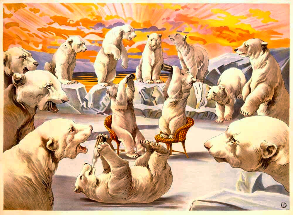 Hagenbeck Polar Bear Circus Poster 0000-2065