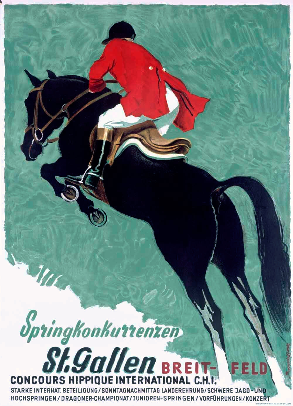 Swiss Horse Jumper Show 0000-3776