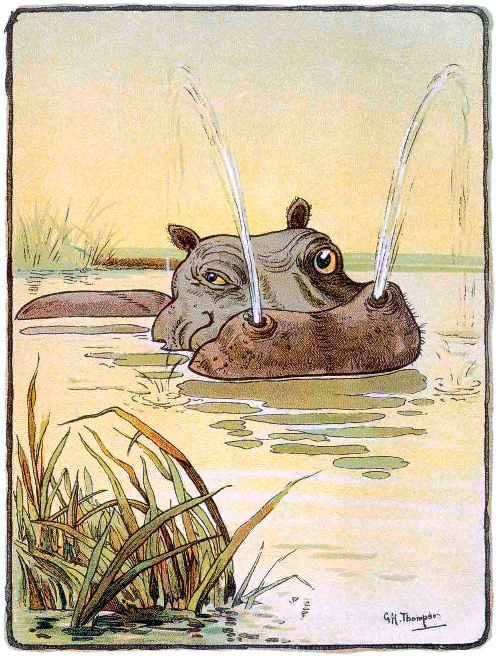 The Spoutting Hippo Poster 0000-4499