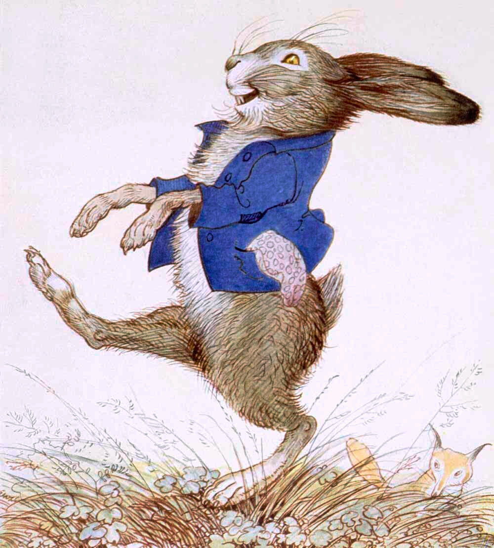 Childrens Bunny Hare Story Book Poster 0000-4576