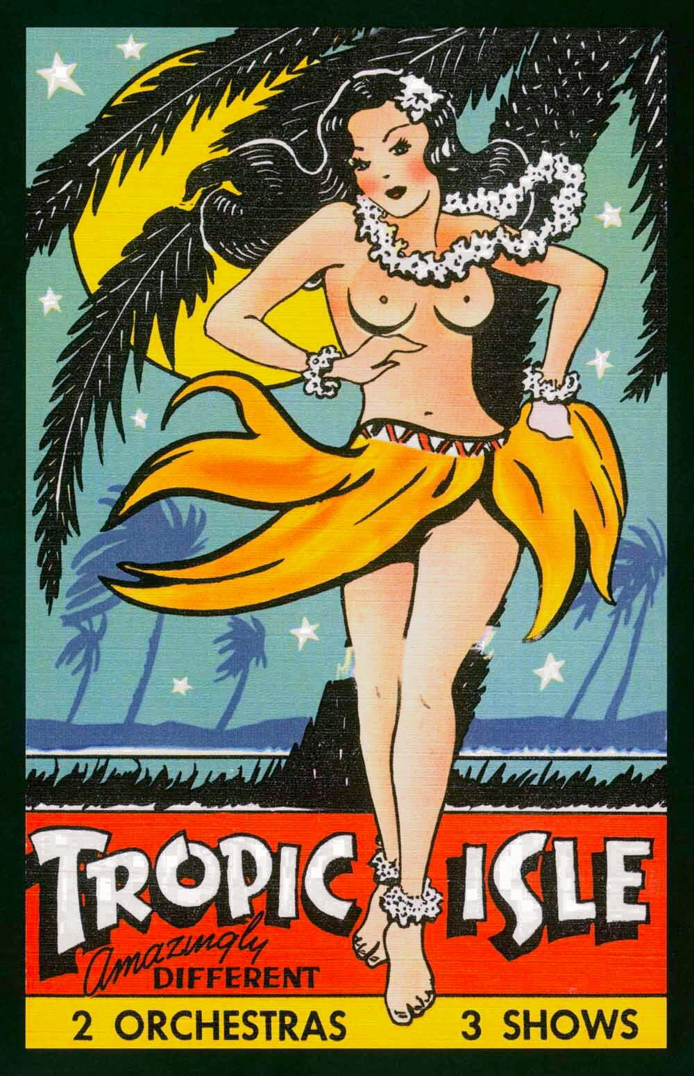 Hawaii Hula Dance Concert Poster 0000-4920