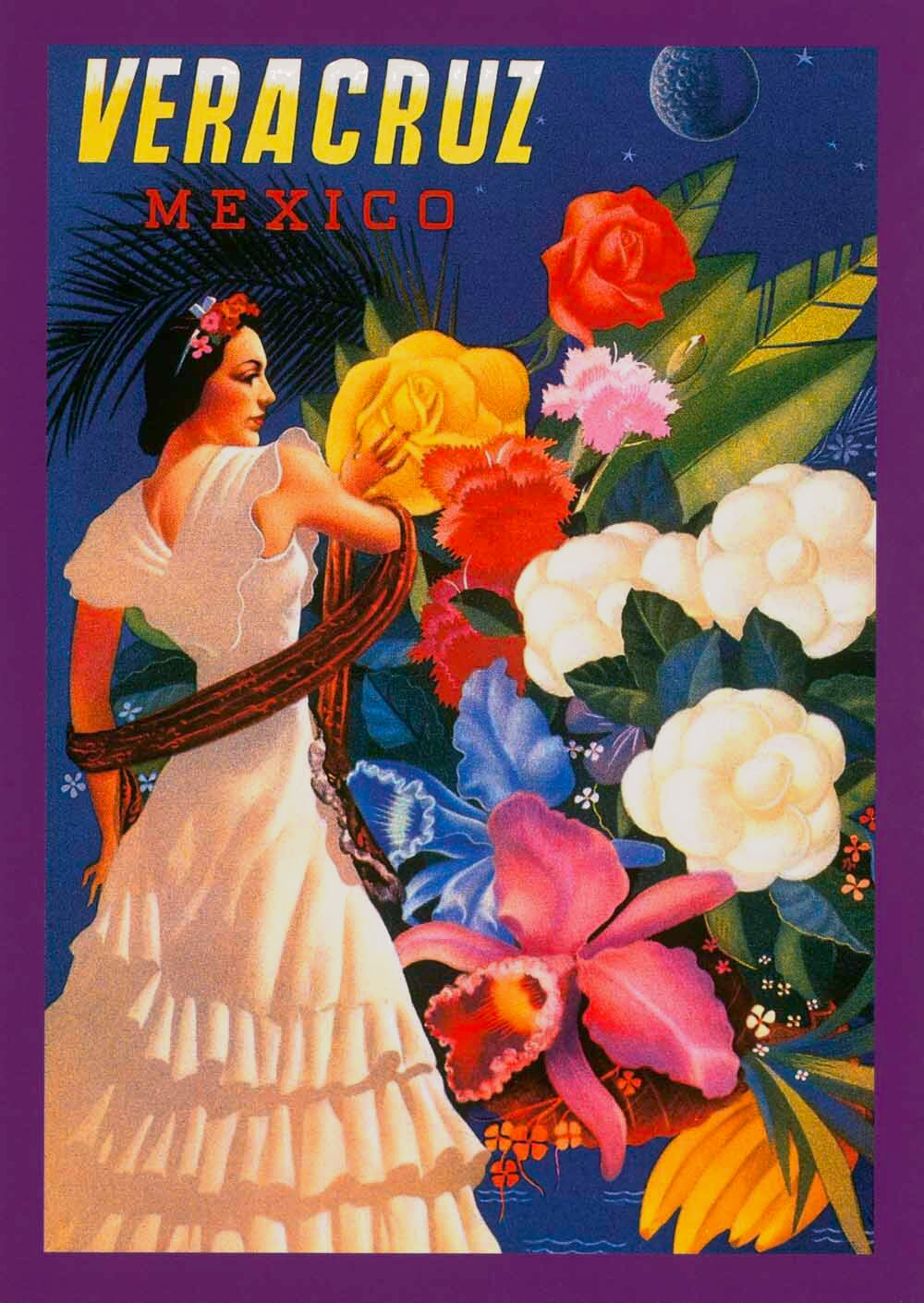 Mexico Veracruz Flamenco Dance Poster 0000-4925