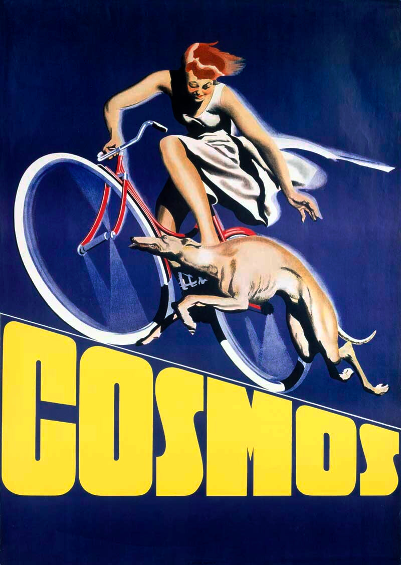 Cosmos Bicycles – Vintage Cycling Poster 0000-5271