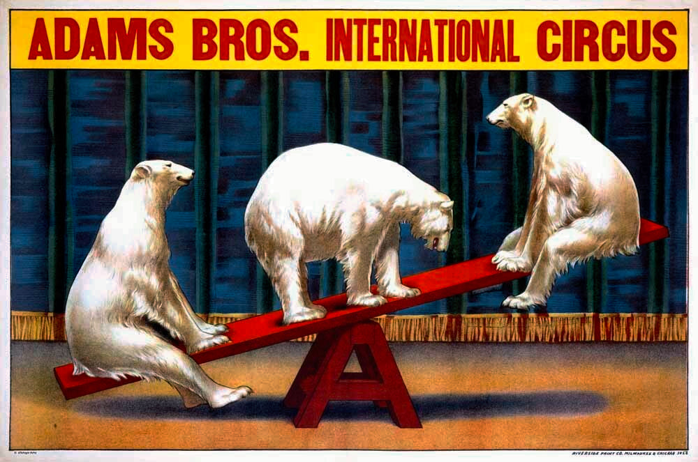 Adams Brothers Polar Bear Circus 0000-0148