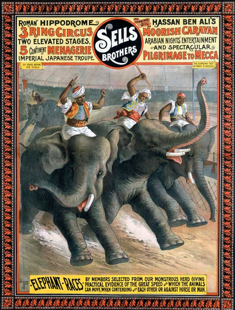 Sells Bros Elephant Circus Race 0000-0620