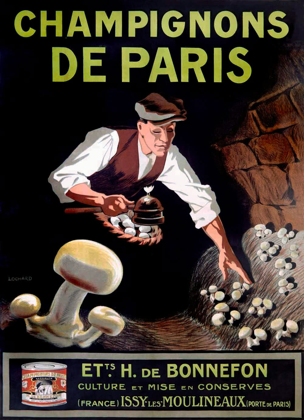 Champignons de Paris 0000-1142