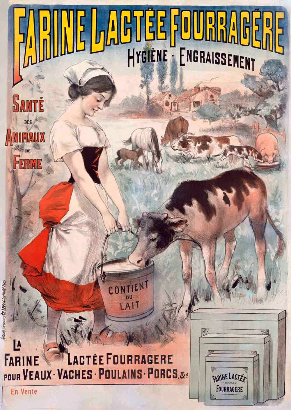 Farine Lactee Fourragere 0000-1371