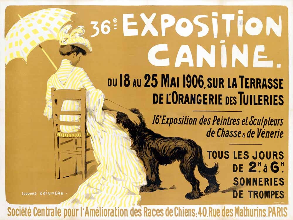 36e Exposition Canine de Briard 0000-2653