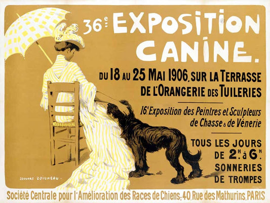 36e Exposition Canine de Briard 0000-2653