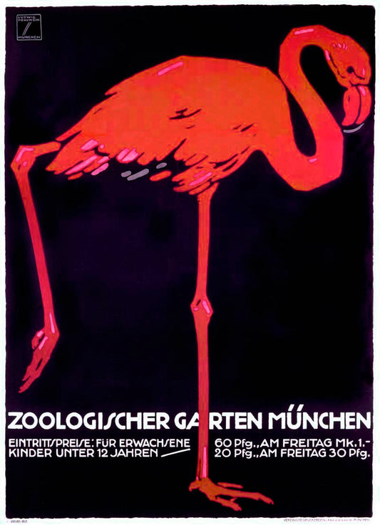 Zoologischer Garten München – Flamingo 0000-2890