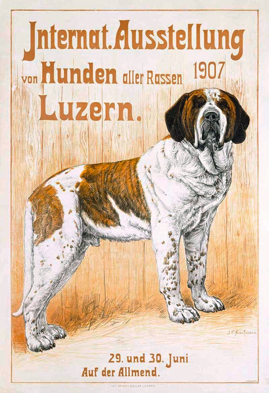 Vintage St Bernard Dog Show Poster 0000-3402