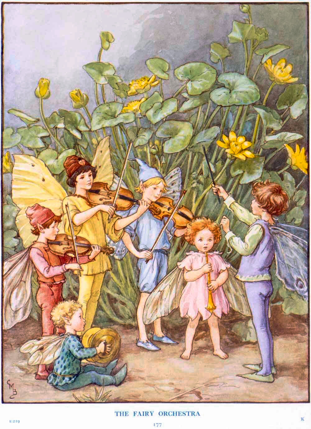 The Fairy Orchestra Music Poster 0000-3864