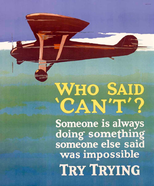 Try Trying Success Motivational Poster 0000-4378