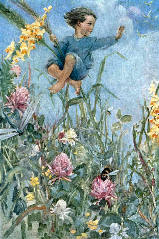 Fairy Tale Elf Bumblebee Flower Poster 0000-4477