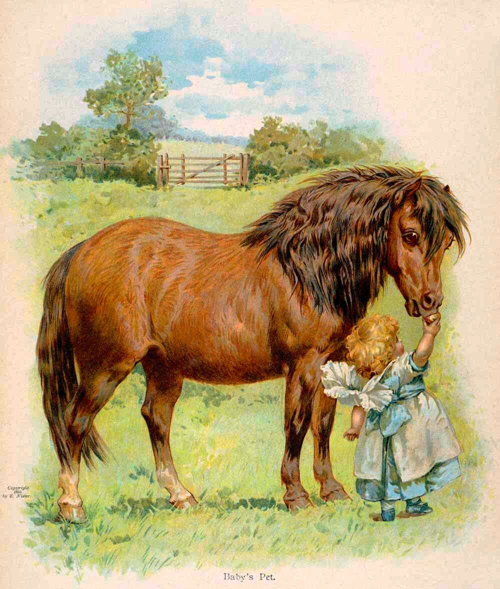 The Pony and the Girl Poster 0000-4532
