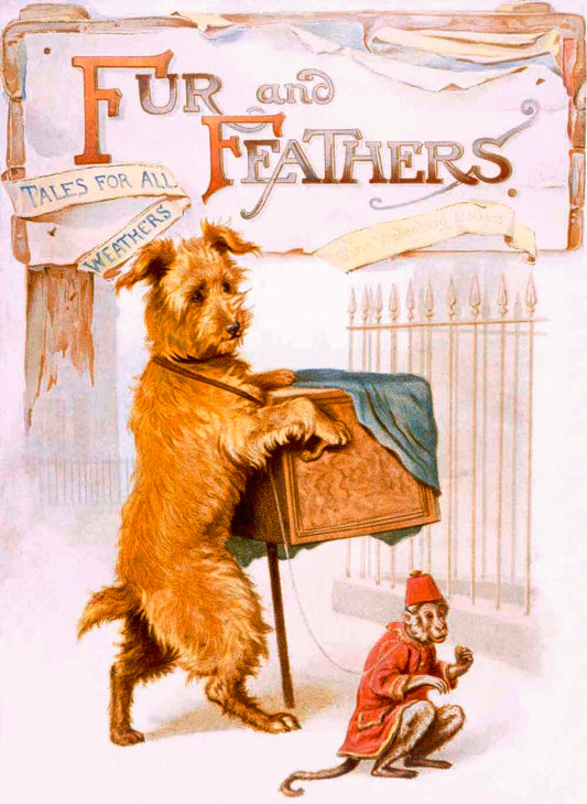 Childrens Fur and Feathers Story Book Poster 0000-4563