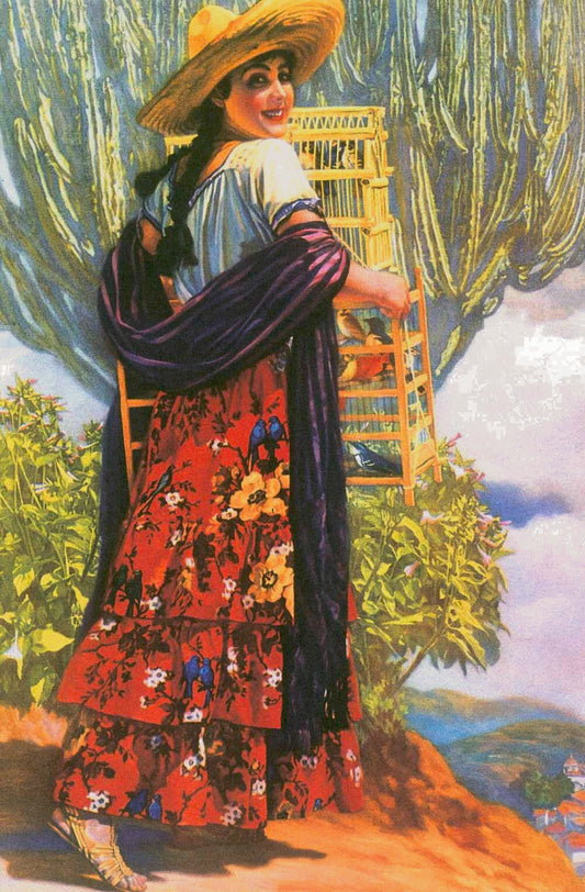 Mexico Senorita Sombrero Bird Cage Poster 0000-4933