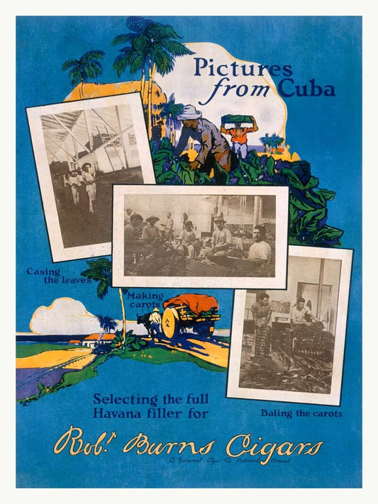 Havana Cuba Rob Burns Cigar Tobacco Poster 0000-5251