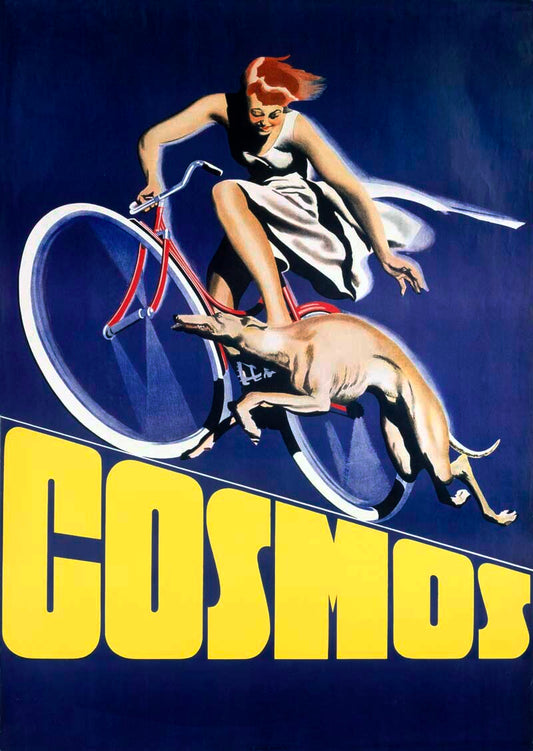 Cosmos Bicycles – Vintage Cycling Poster 0000-5271