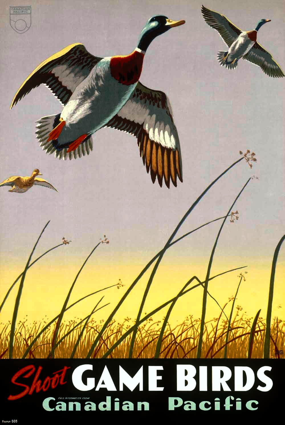 Canadian Pacific Game Shooting Poster 0000-8562