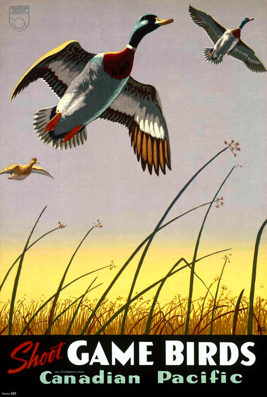Canadian Pacific Game Shooting Poster 0000-8562