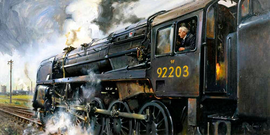 The 'Black Prince' class 9F steam locomotive, 1974 0001-3618